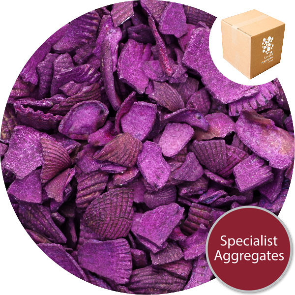 Coloured Sea Shells - Royal Purple
